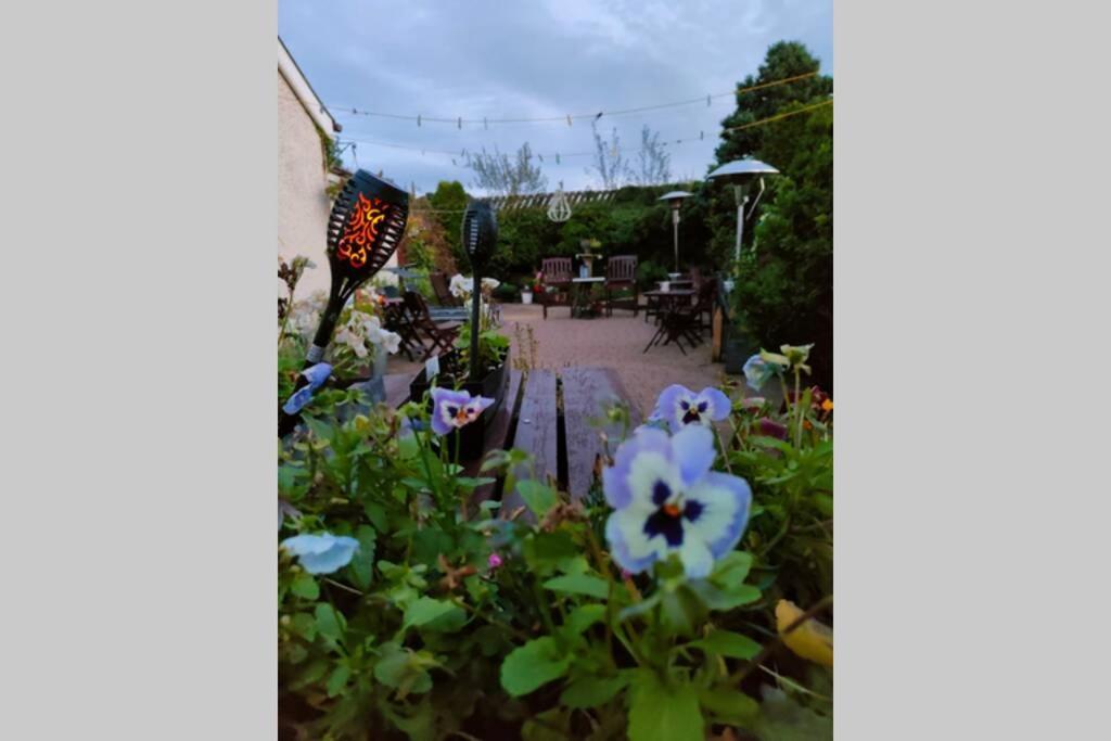 The Loft At Rowantree Cottage Dromara 외부 사진